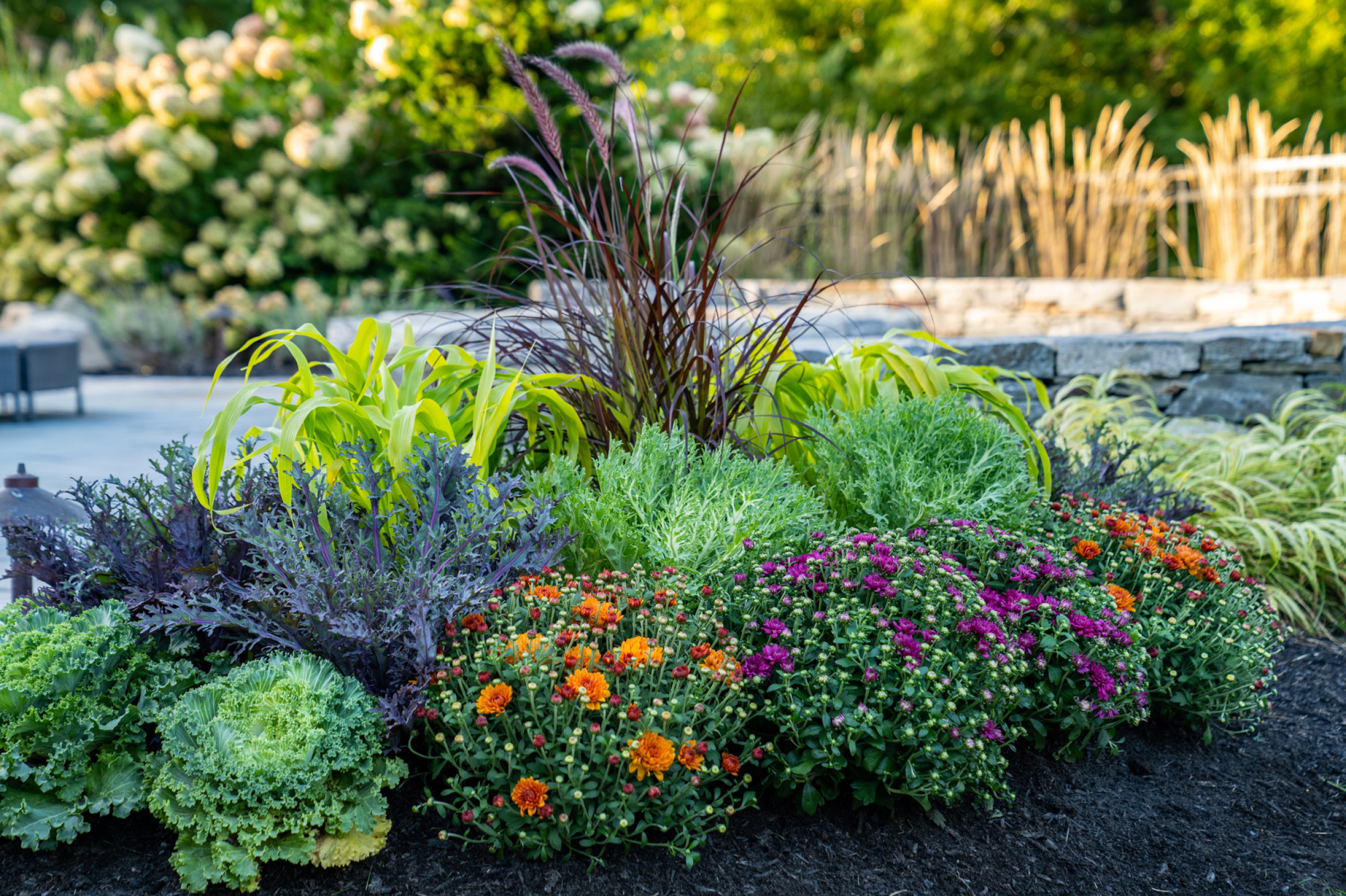 Why You Should Invest in Professional Landscape Design
