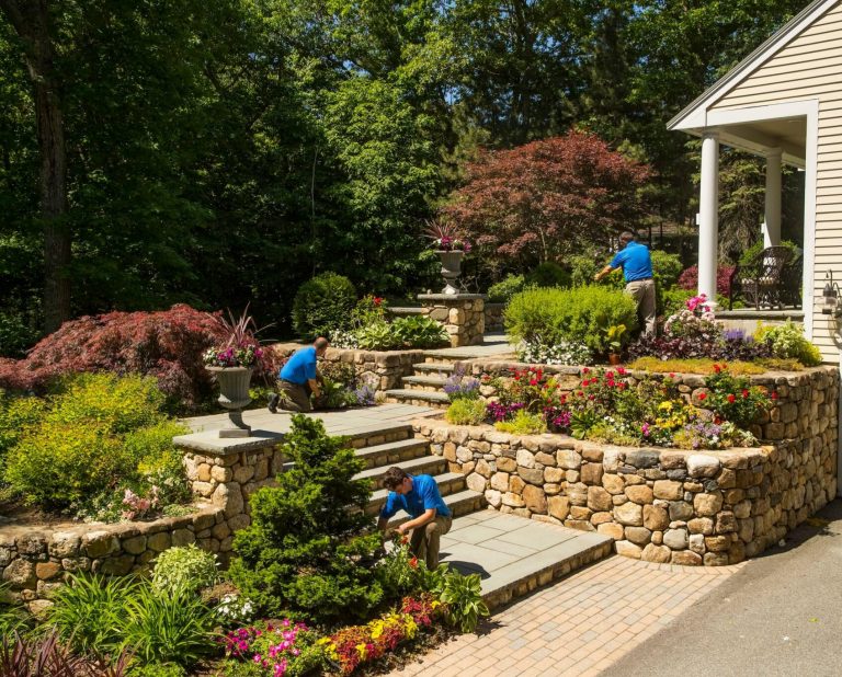 Front Yards