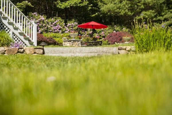 Knowing When to Fertilize Your Lawn for Best Results In Any Season Knowing When to Fertilize Your Lawn for Best Results In Any Season
