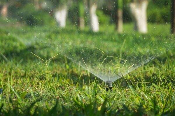 Irrigation System Installation: The Smart Way to Keep Your Landscape Thriving Irrigation System Installation: The Smart Way to Keep Your Landscape Thriving