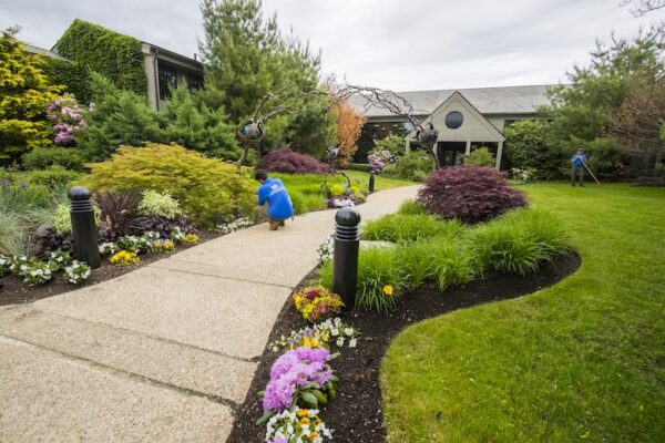 Mulching Services Near Me: Why Local Expertise Matters for Your Landscape Mulching Services Near Me: Why Local Expertise Matters for Your Landscape