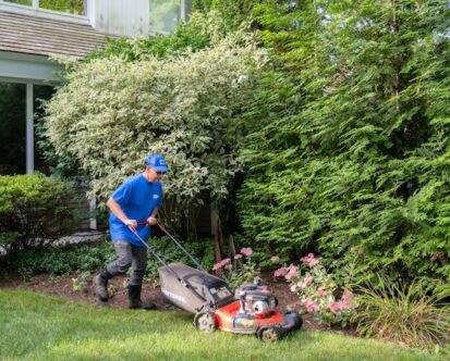 Spring Lawn Care Services in Massachusetts: Wake Up Your Yard the Right Way
