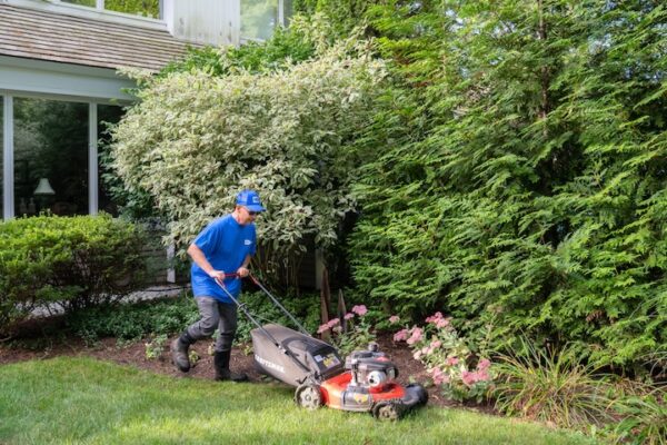 Spring Lawn Care Services in Massachusetts: Wake Up Your Yard the Right Way Spring Lawn Care Services in Massachusetts: Wake Up Your Yard the Right Way