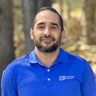 Andrew Tescione