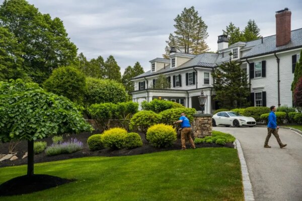 When to Prune Shrubs in Massachusetts: A Seasonal Guide