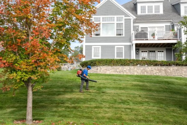 From Fall to Frost: How to Prepare Your Lawn for Winter the Right Way