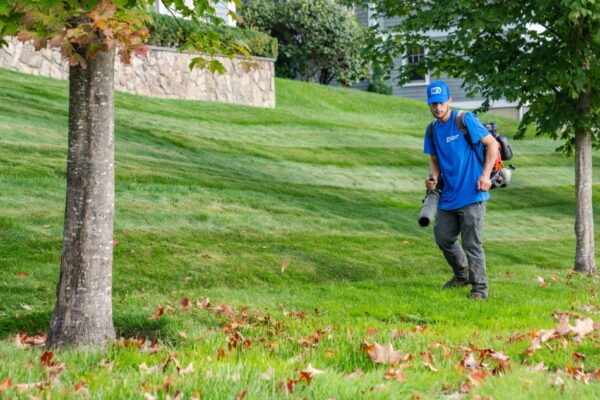 Top Fall Cleanup Services to Keep Your Property Pristine