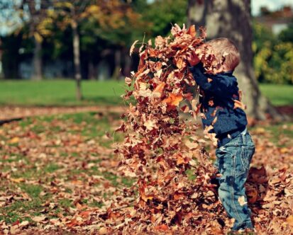 Prepare Your Yard for the Season Ahead With Fall Cleanup Landscaping
