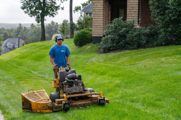 Lawn Mowing Near Me: Why Local Full-Service Landscaping is Best
