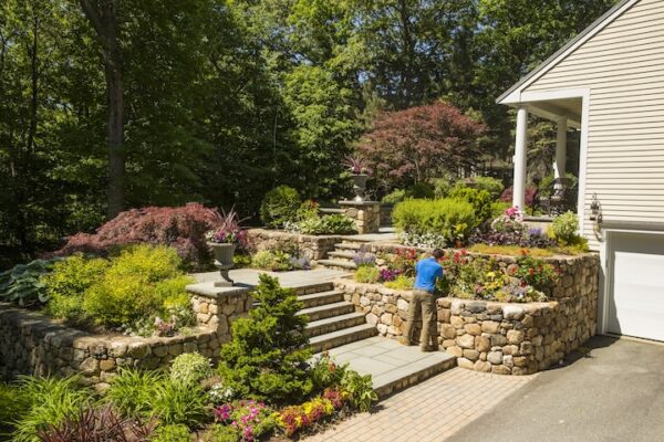 The Best Mixed Planter Designs To Elevate Your Space