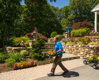 Landscape Design Build Services: Creating Outdoor Spaces That Wow