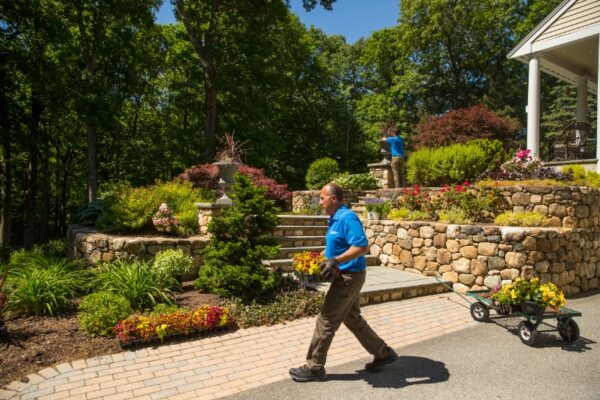 Landscape Design Build Services: Creating Outdoor Spaces That Wow