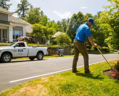 Spring Yard Cleanup Services: How to Prepare Your Landscape for the Growing Season