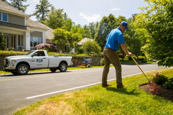 Spring Yard Cleanup Services: How to Prepare Your Landscape for the Growing Season