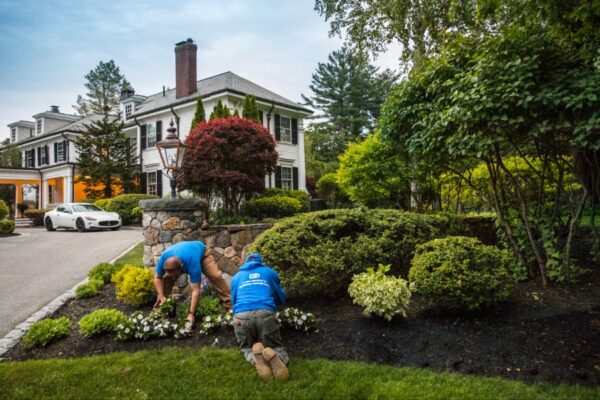 Mulching Benefits for Garden Beds: Why This Simple Step Pays Off All Season