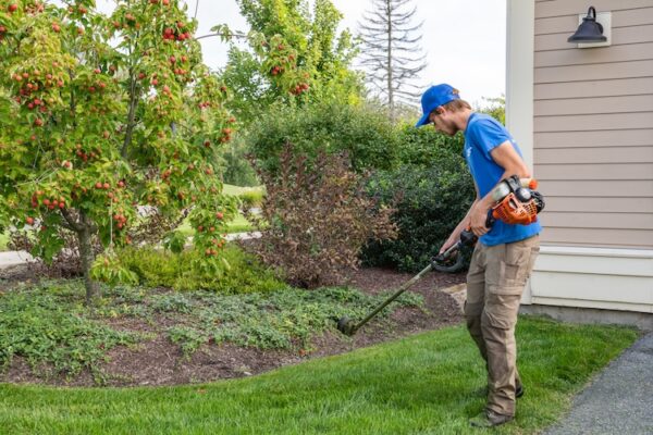Getting Fall Garden Preparation Right Before New England’s First Frost