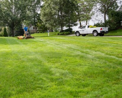 How to Handle Lawn Care in Summer Without Burning Out Your New England Yard