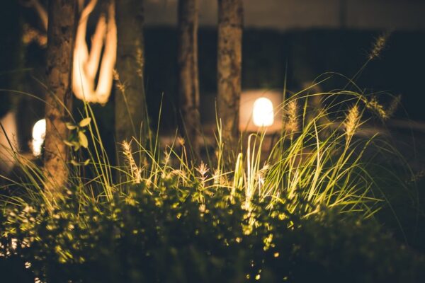 How Great Outdoor Landscape Lighting Design Turns a New England Yard Into a Nighttime Retreat