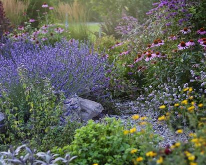 Seasonal Color Landscaping: A Year-Round Guide for New England Yards